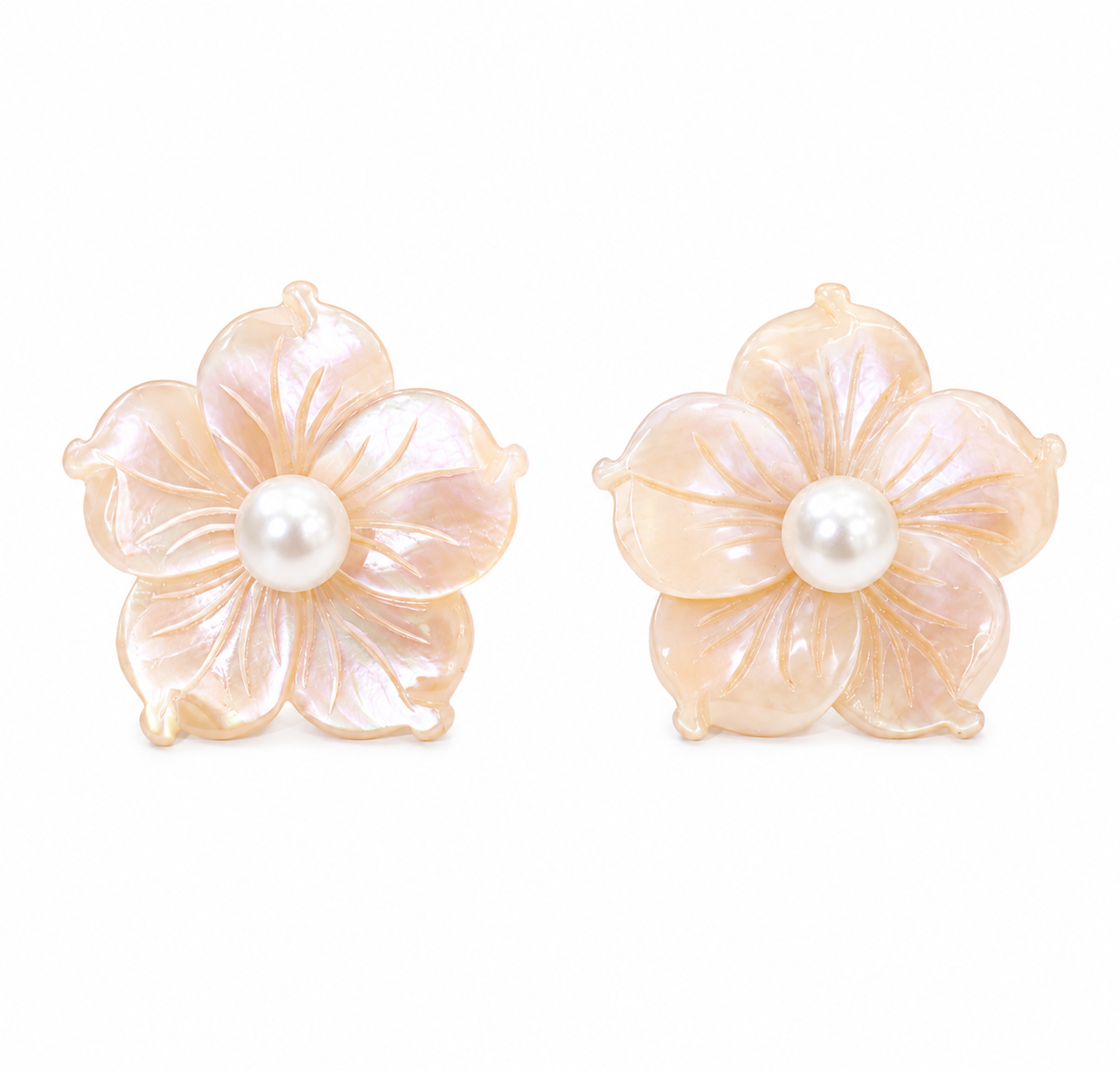 Rose pearl Flowers