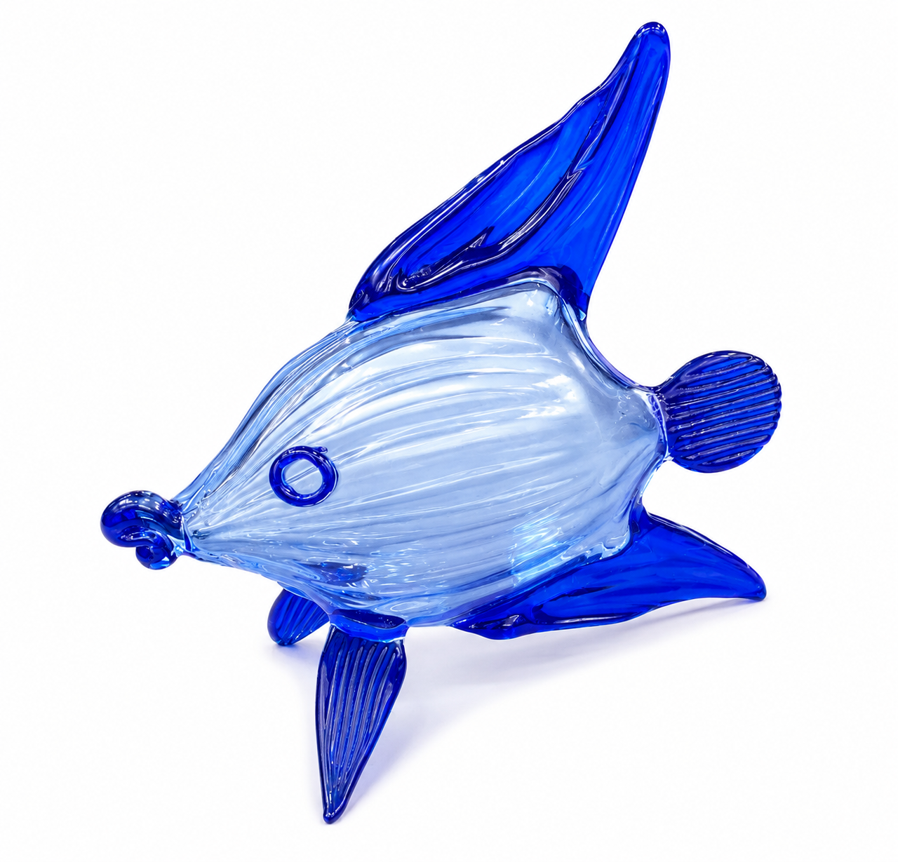 Royal Blue Fish