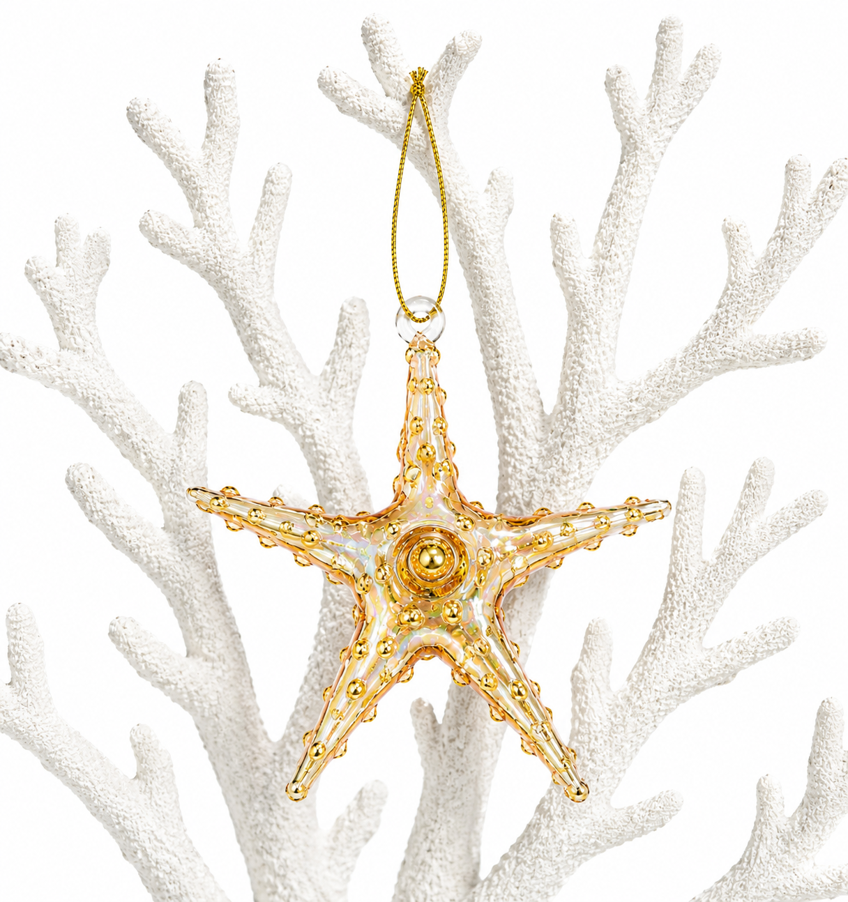 Sea Star Sand