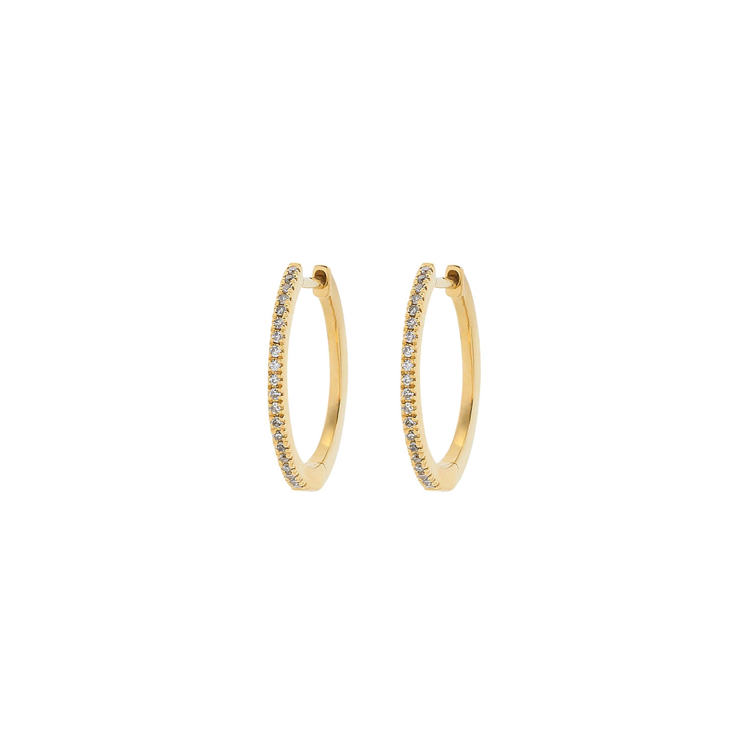 Yellow Gold Hoop Earrings