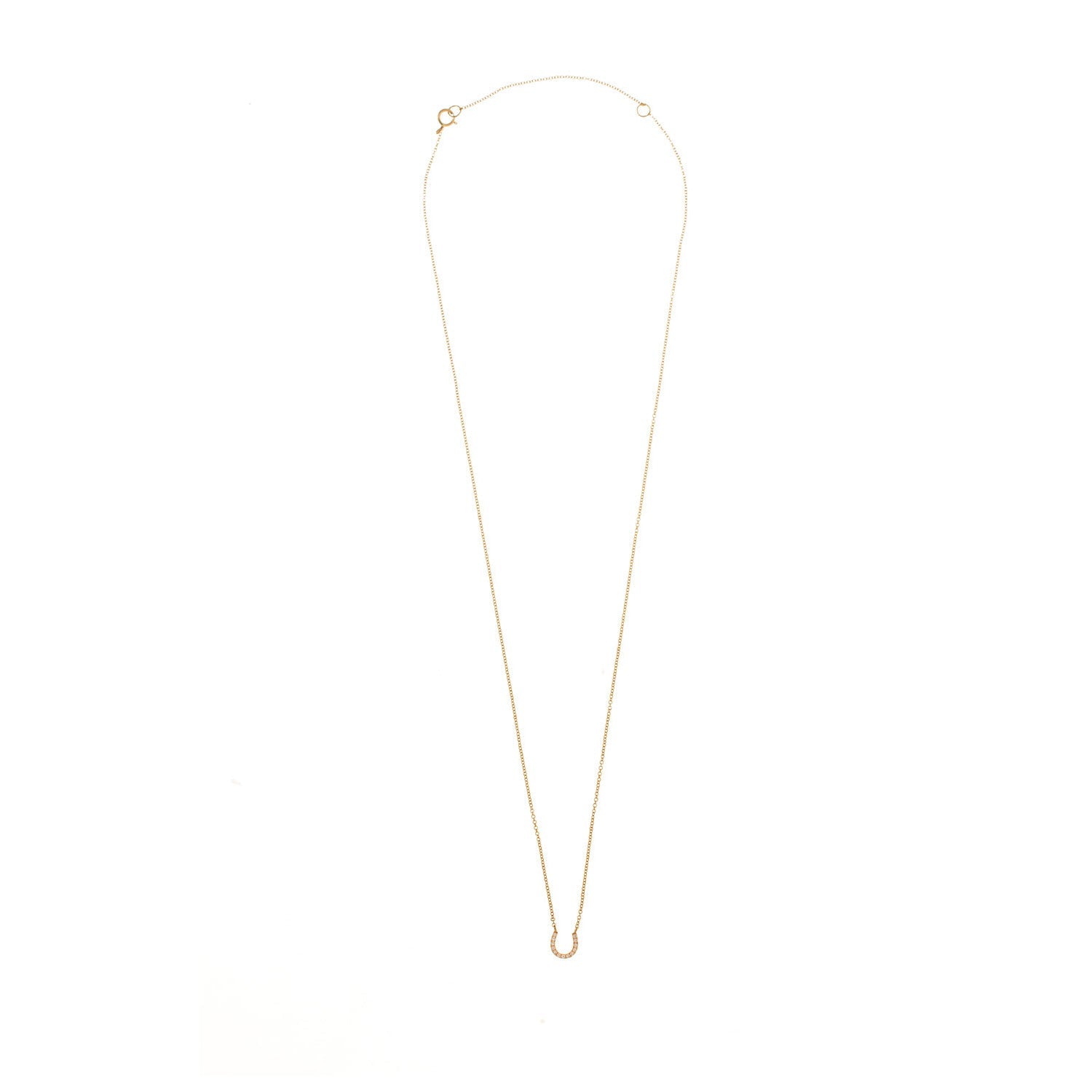 Diamond Horse Shoe Necklace